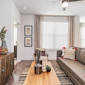 Generous living spaces with beautiful natural lighting