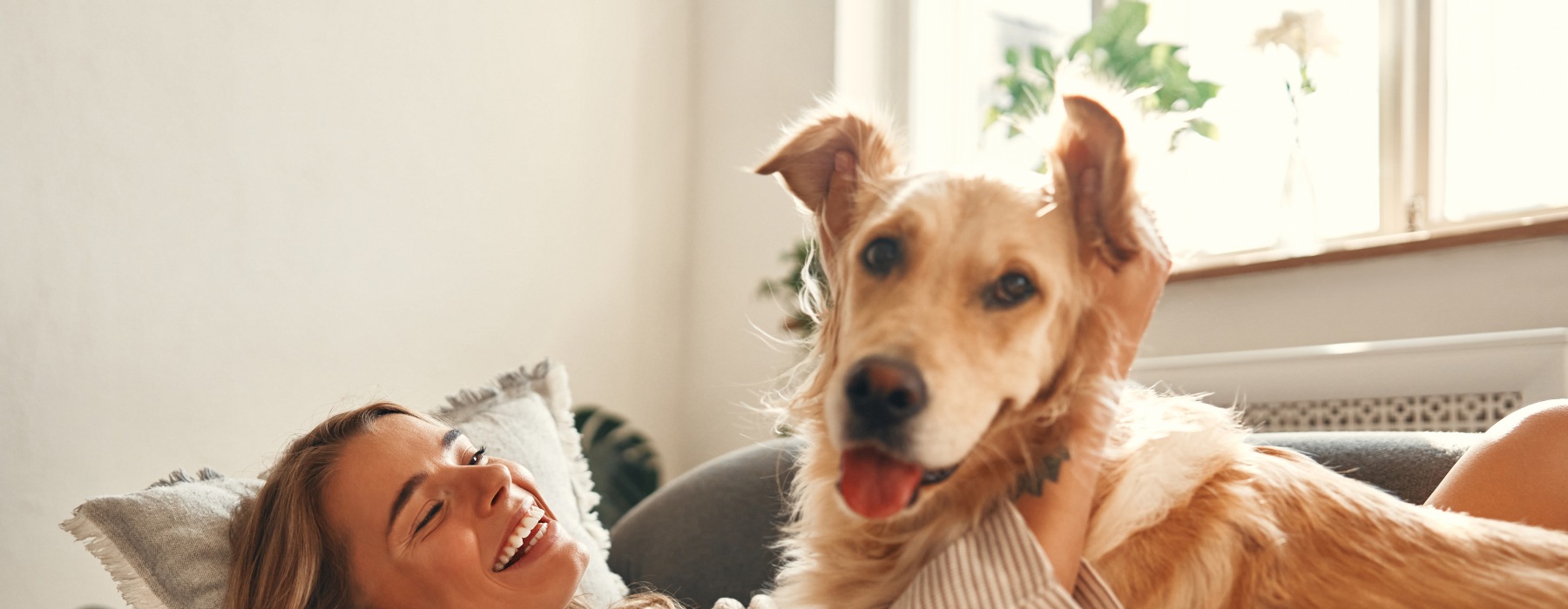 Pet Friendly